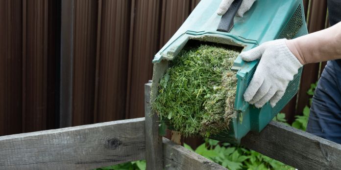 Compost organico: guida pratica per nutrire l’orto 1 compost organico autunno